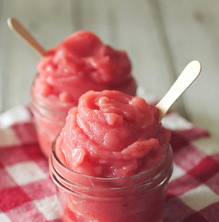 Watermelon Sorbet - A Really Quick 5 Minute Snack