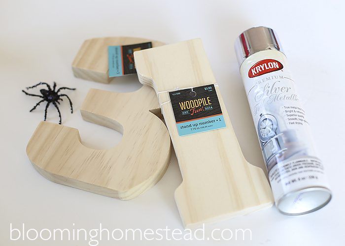 DIY Halloween Craft by Blooming Homestead