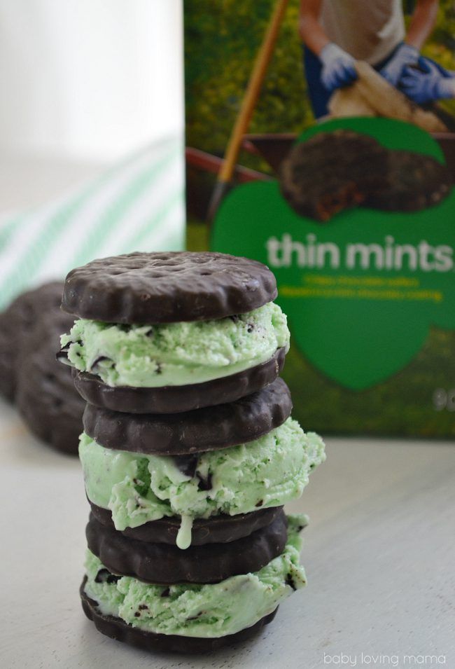 You can never have enough Recipes using Girl Scout Cookies and you'll want to try one of these yummy treats made with your favorite cookie!