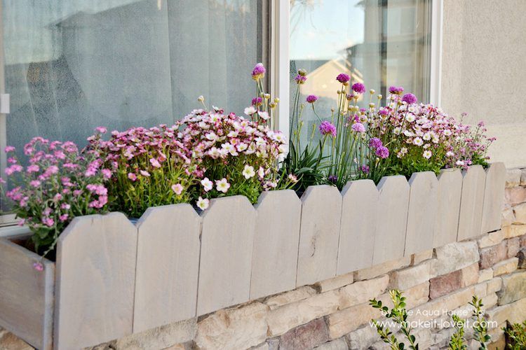 Window Flower Boxes