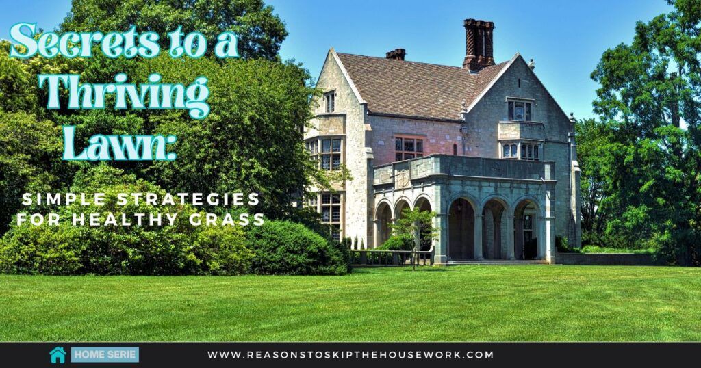 Secrets to a Thriving Lawn- Simple Strategies for Healthy Grass