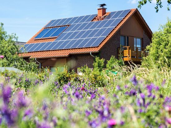 Essential Eco-Friendly Upgrades for Any Rental Property